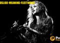 landslide-meaning-fleetwood
