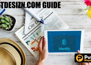 Netdesizn.com Guide